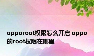 解除OPPORoot系统禁止安装主题的方法(轻松解决OPPO手机无法安装主题的问题)