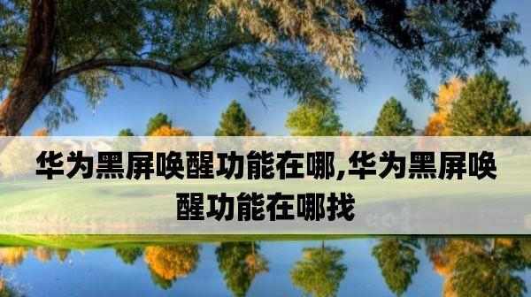 电脑黑屏无法唤醒屏幕的处理方法（解决电脑黑屏问题的有效方法及注意事项）