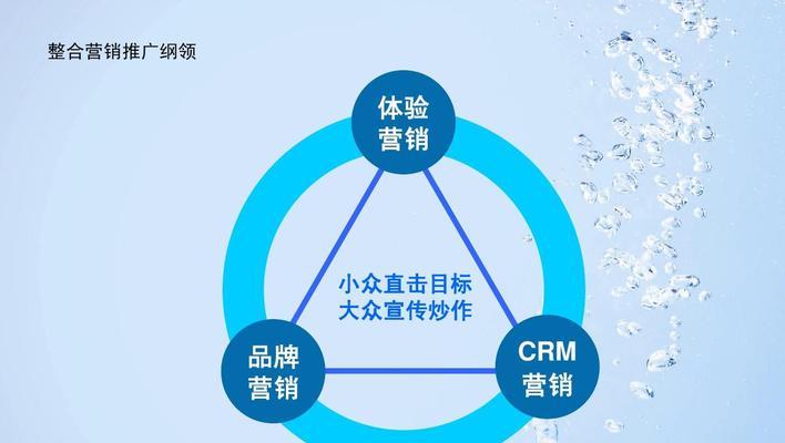 广告公司品牌营销推广的关键策略（揭示品牌营销推广的有效手段与成功案例）